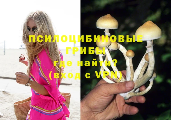прущий лед Белокуриха