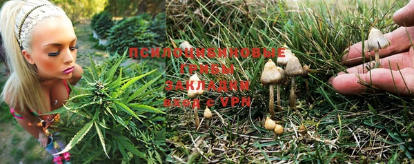 прущий лед Белокуриха