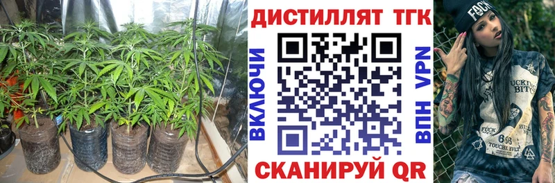 наркотики  Ирбит  ТГК гашишное масло 